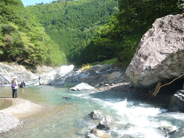 resize0010.jpg