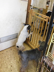 conv0325.JPG