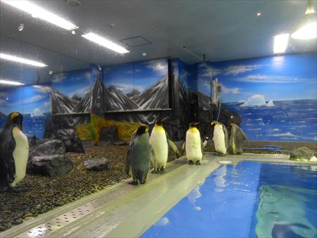 越前松島水族館