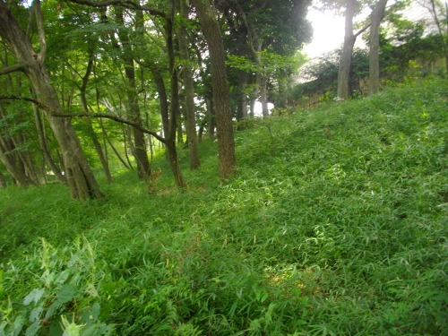 古河公方館跡土塁 (500x375).jpg