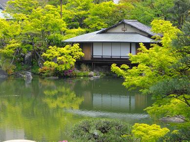 相楽園・日本庭園