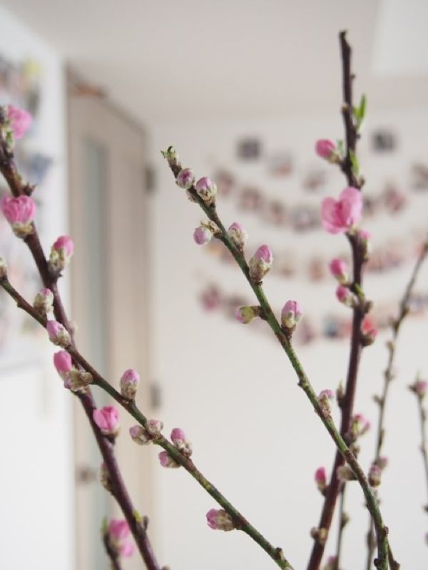 rblog-20140226211539-01.jpg