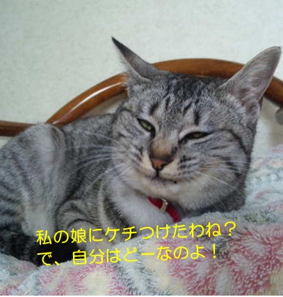 20120727_4.jpg