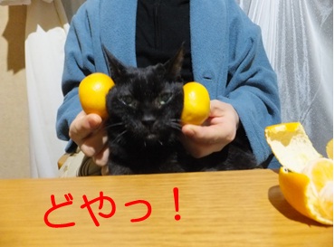 20121029_2.jpg