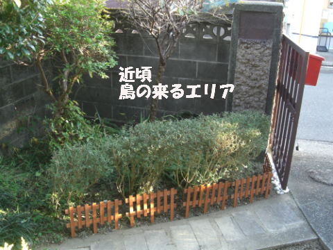 CIMG2647.jpg