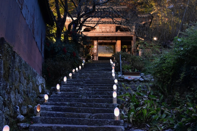 国宝富貴寺　ライトアップ1