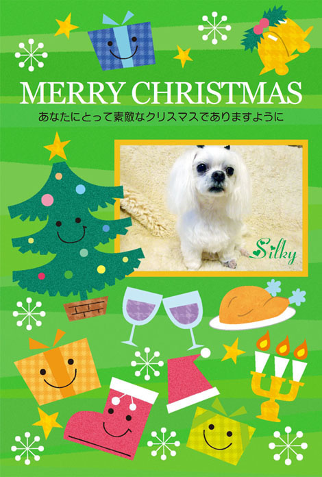 2016クリスマス_シルちゃんママさん
