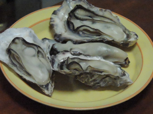 DSCN0268.JPG