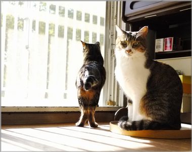 むぎ尻