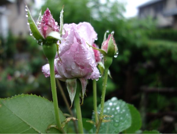 rblog-20180508192821-03.jpg
