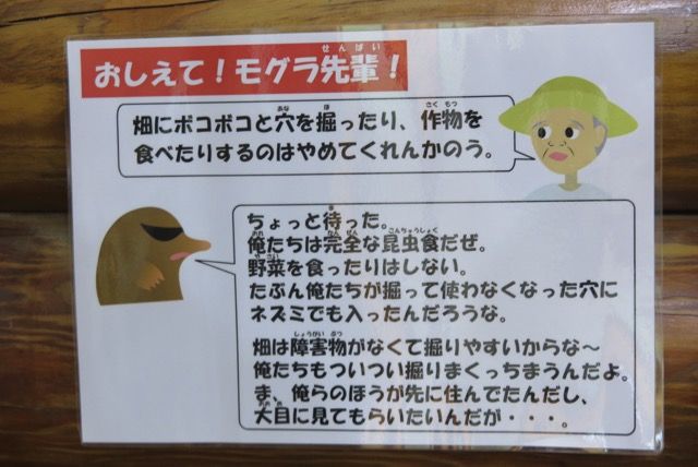 多摩動物公園に行ってきました 単身赴任メモランダム別館 楽天ブログ
