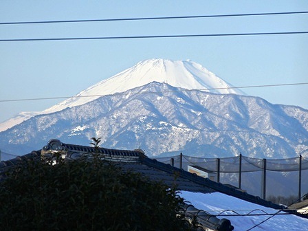 DSC01248.jpg