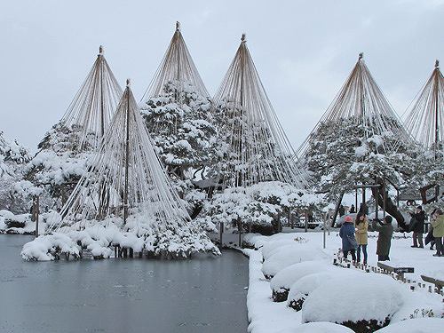 兼六園雪吊り