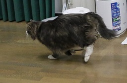 7D2_1204-26.jpg