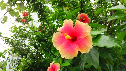 rblog-20140702205529-01.jpg