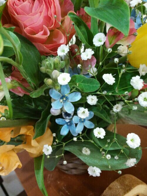 rblog-20190316230939-03.jpg