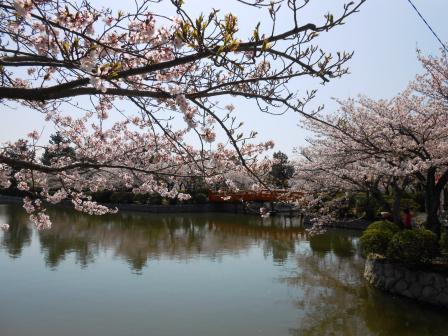 九華公園の橋のたもと