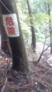 201206101243000.jpg
