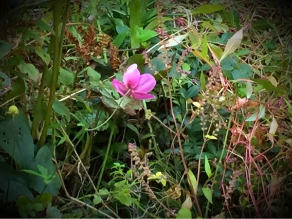 rblog-20151028185151-01.jpg