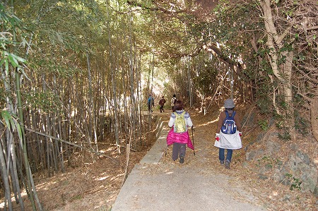 s-DSC_0940.jpg