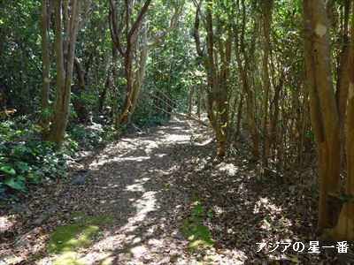 20150505 足摺岬　四万十川7