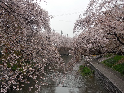 岩倉１.jpg