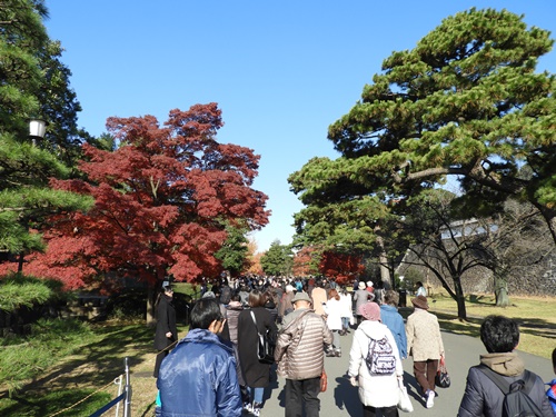 皇居乾通り一般公開