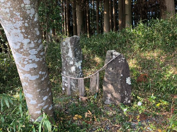 rblog-20181202114845-03.jpg