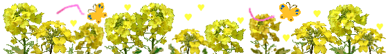 nanohana-chou-line[1].gif