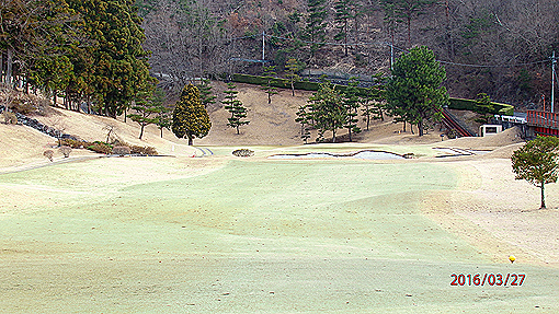 P3273056h2.jpg