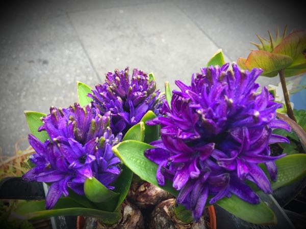 rblog-20150222132823-01.jpg