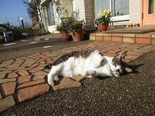 IMG_5083ss.jpg