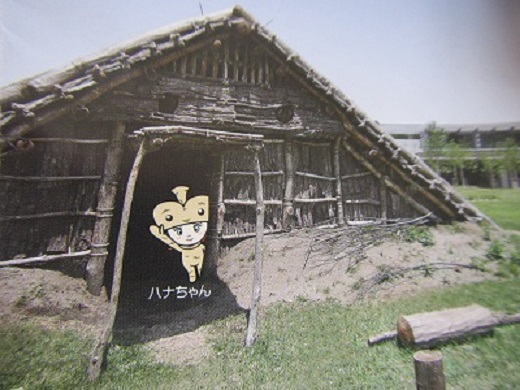 縄２掘立小屋とハナちゃん.jpg