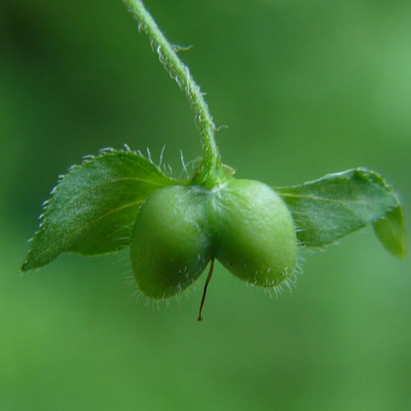 p080314-4.jpg