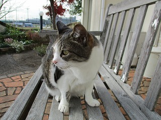 IMG_3644ss.jpg