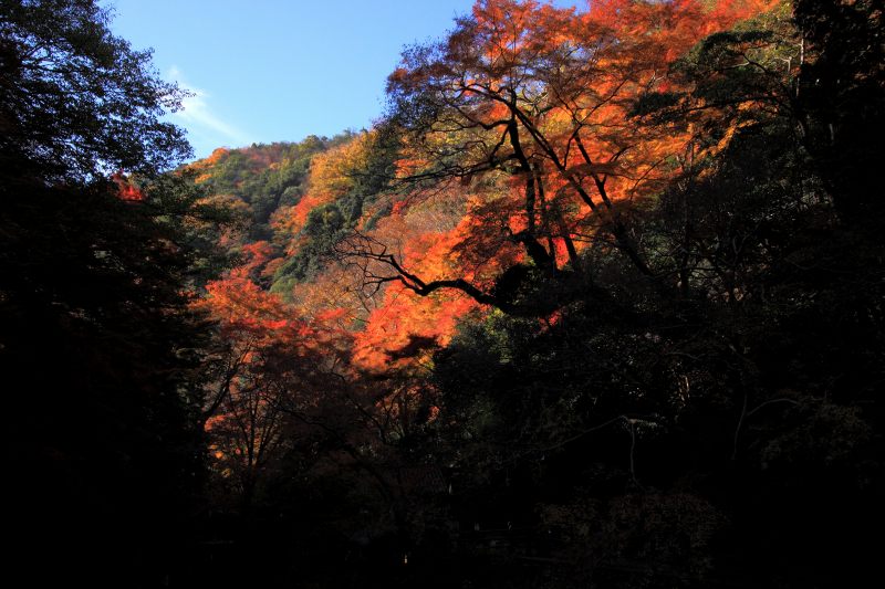 箕面公園_8-2.jpg