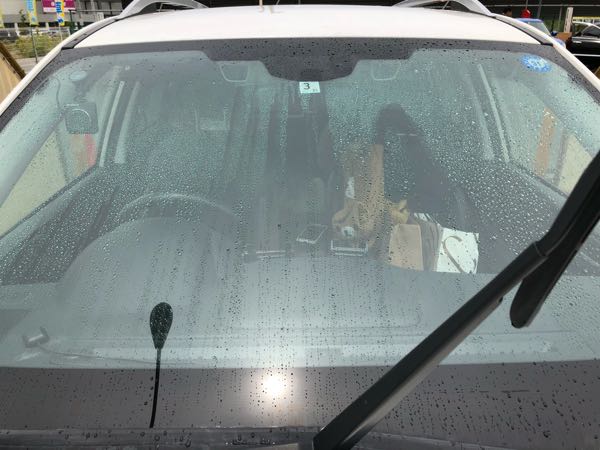 rblog-20180530193729-06.jpg