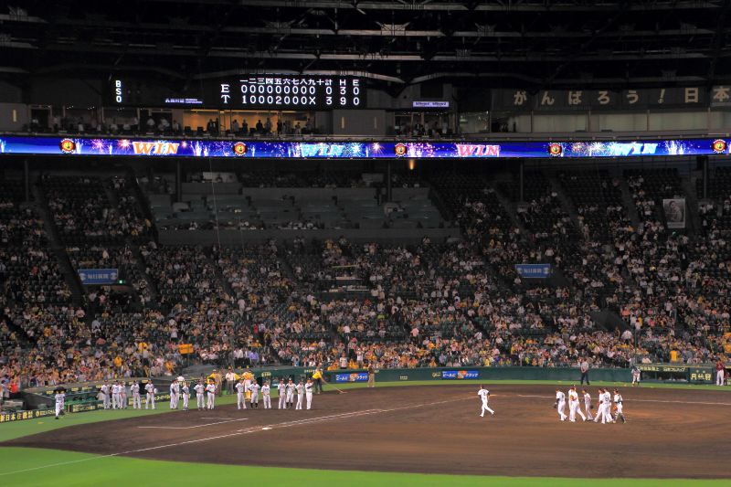 甲子園ナイター_009勝利?風景.jpg