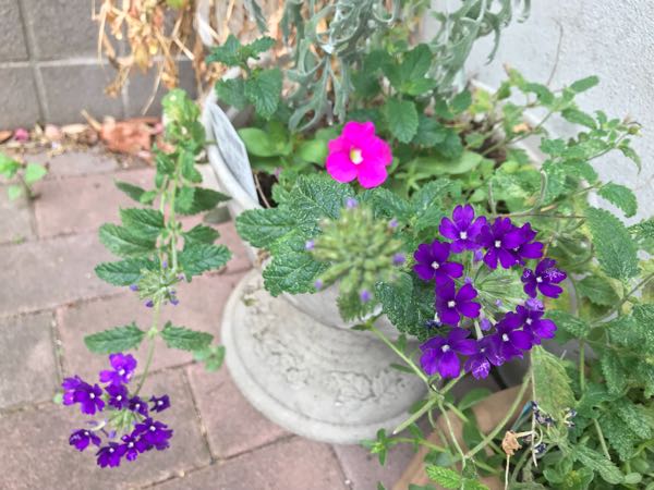 rblog-20180628165323-02.jpg