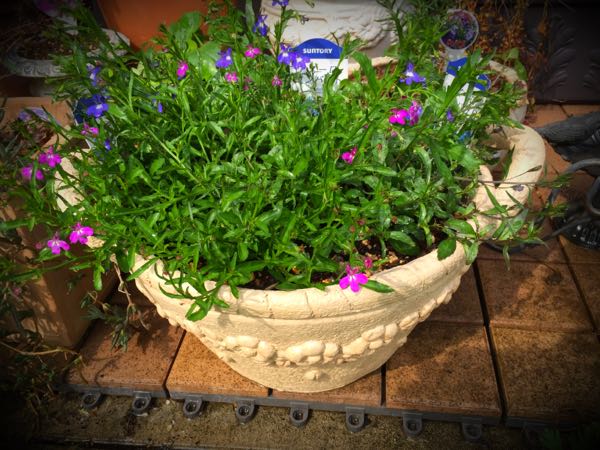 rblog-20160426005035-02.jpg