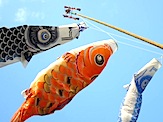 IMG_2467.JPG