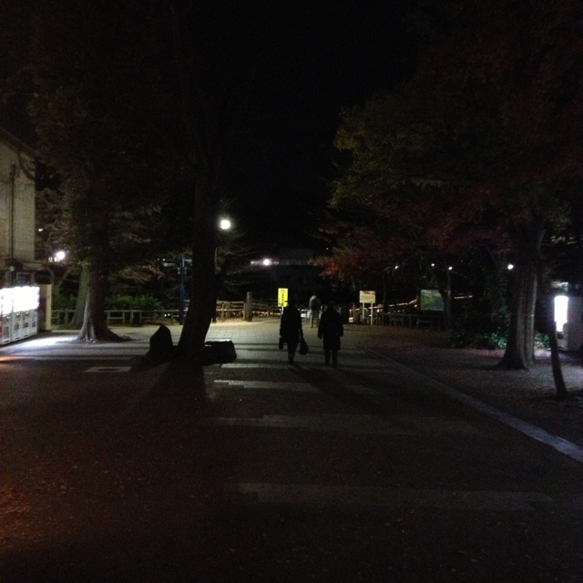 rblog-20121210202230-00.jpg