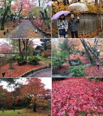 161127宝厳院