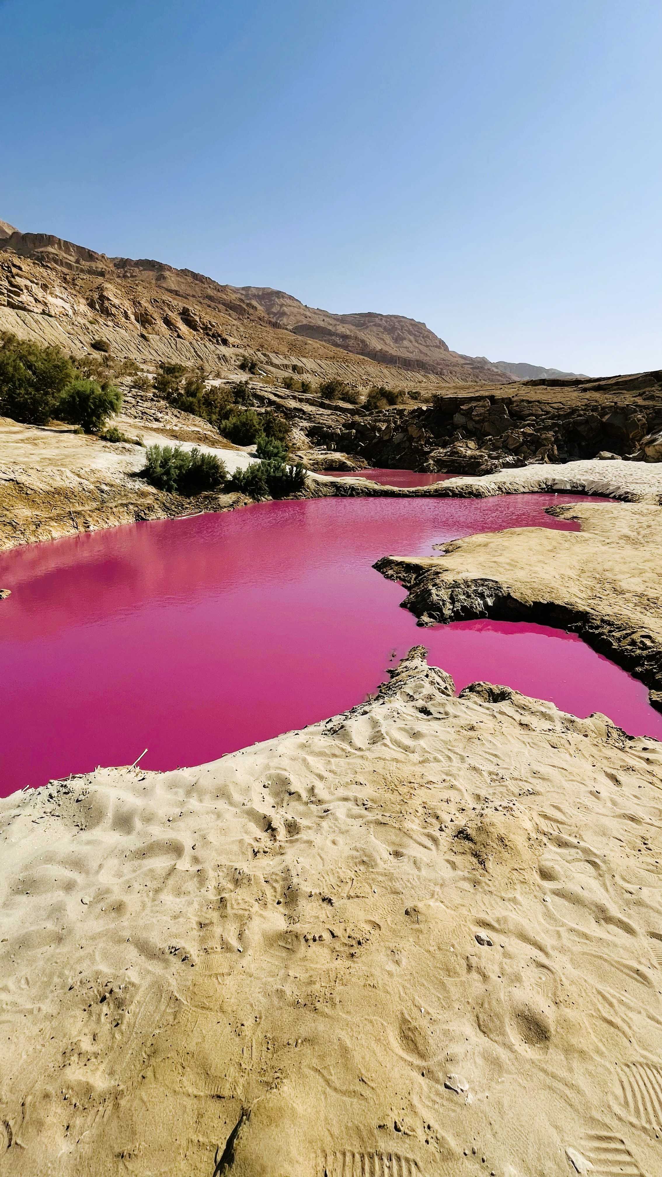 ヨルダンの死海にある「ピンクレイク」 | 月の砂漠－ヨルダンから