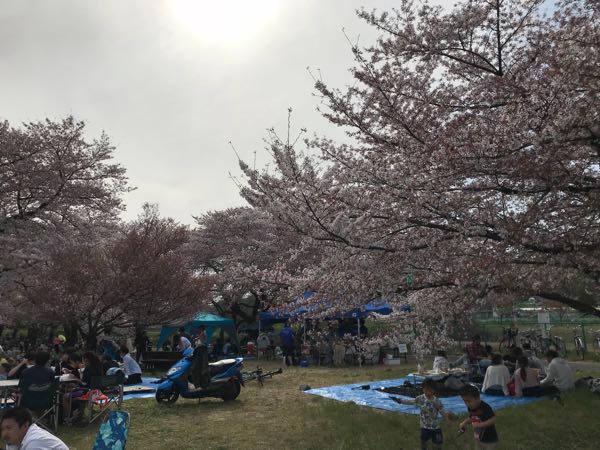 rblog-20180401154003-01.jpg