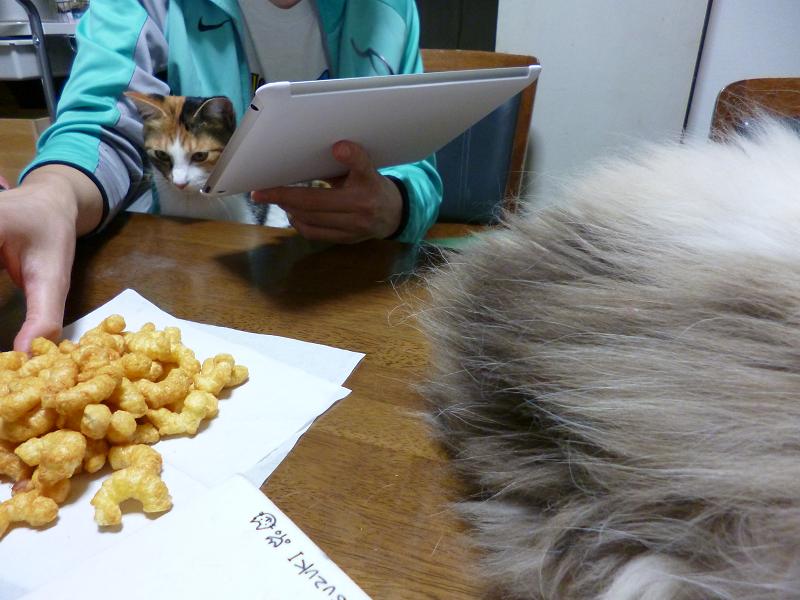画像 219.jpg