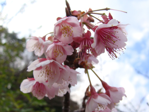 画像-4925.jpg