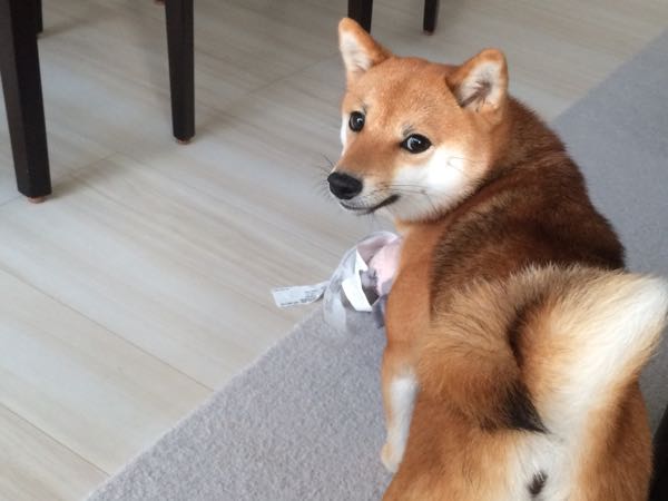 rblog-20160726090043-02.jpg