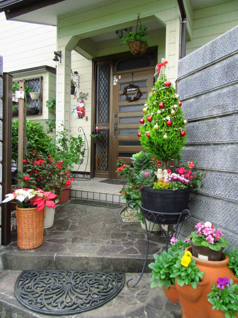 IMG_7466.JPG