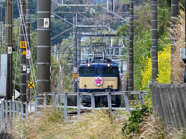伊豆箱根ものがたり号